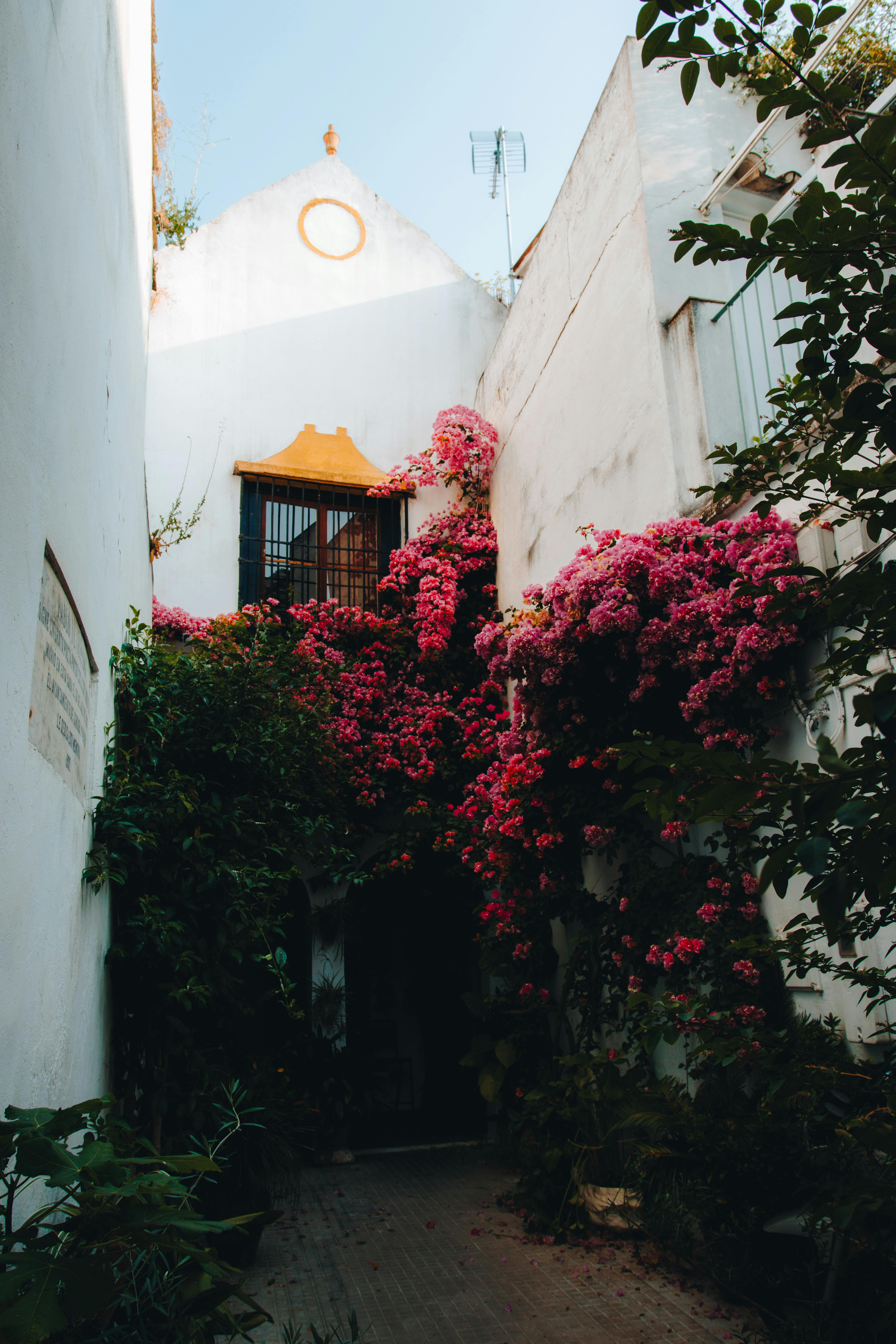 The photo shows a beautiful courtyard filled with vibrant pink flowers. The w...