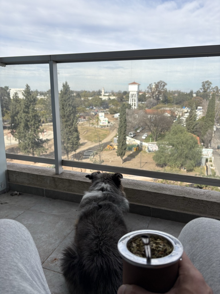 Um cachorro está sentado em um balcão, olhando para a vista da cidade. A pess...